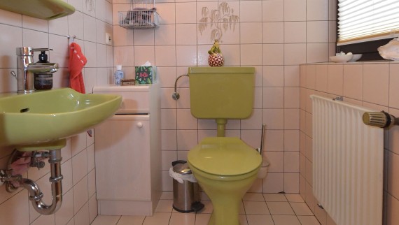 Zelena kupaonica za goste iz 80-ih, prije renovacije